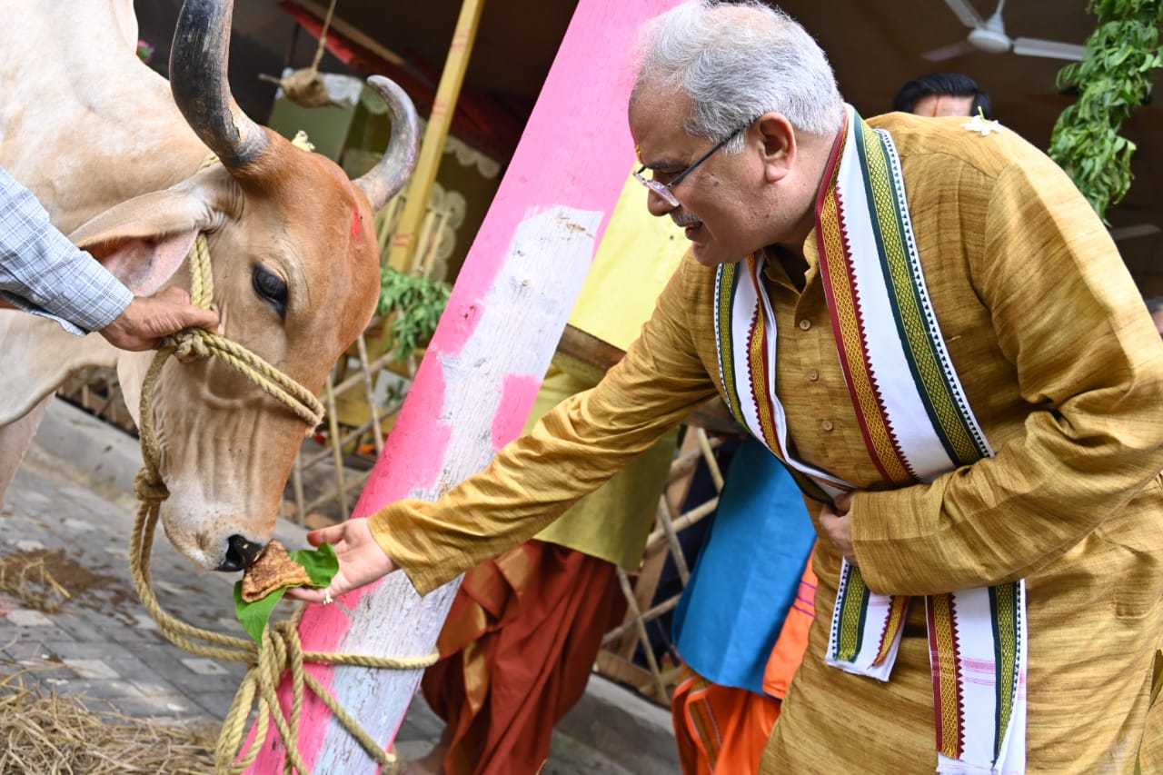गौमाता को मुख्यमंत्री जी ने चारा खिलाया और उसकी पूजा कीl