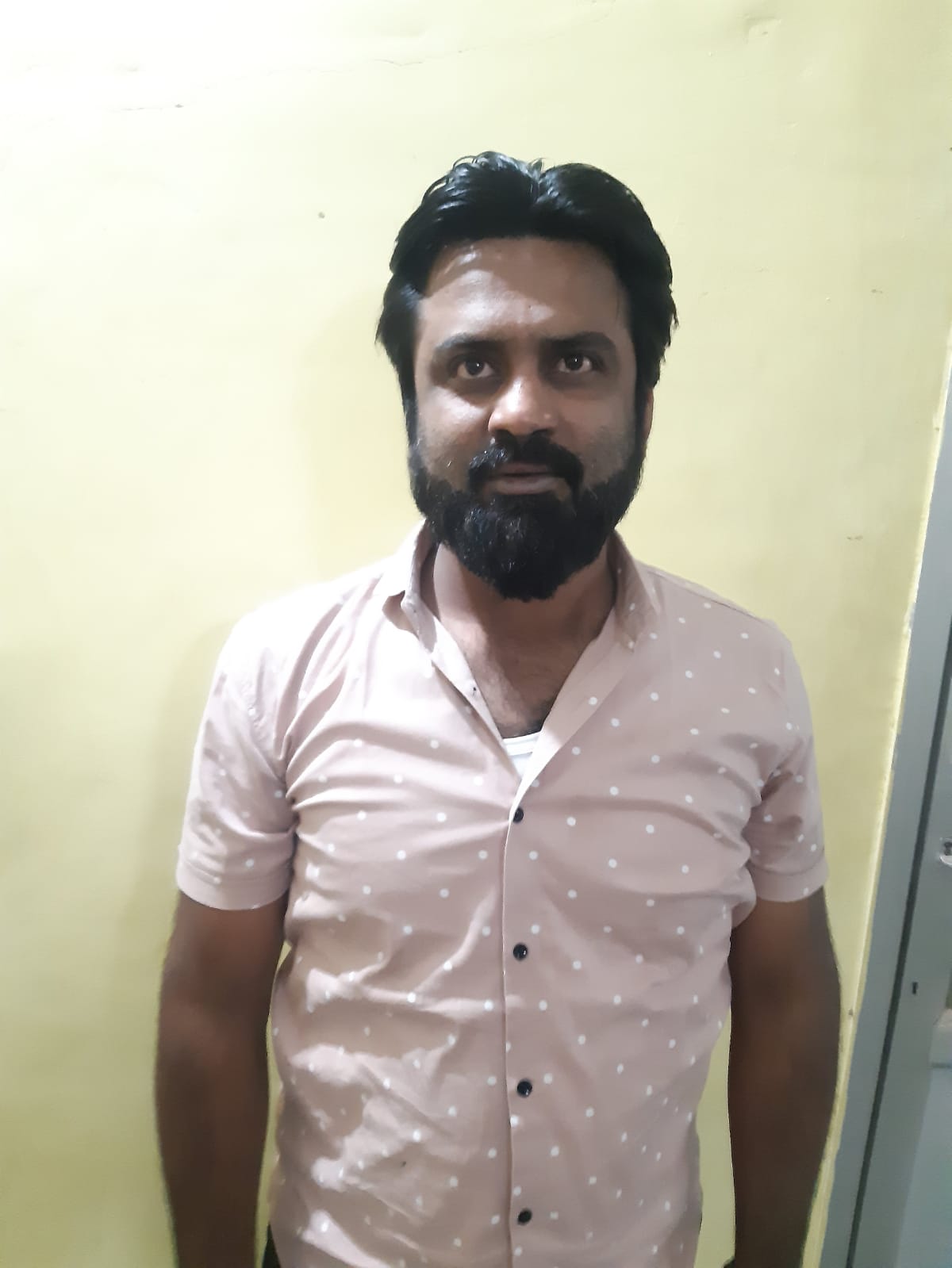 IPLsatta2