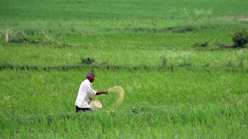 KISAN