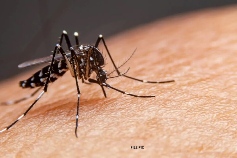 MALARIA